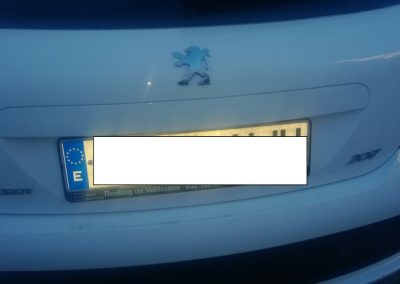 peugeotsin